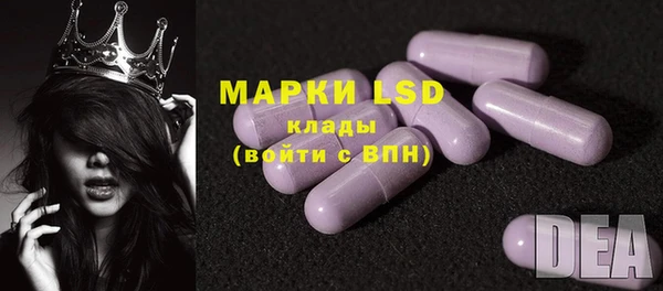 хмурый Алексин