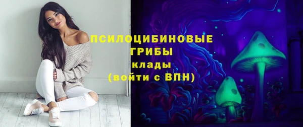 соль ск Алзамай