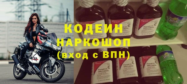 хмурый Алексин