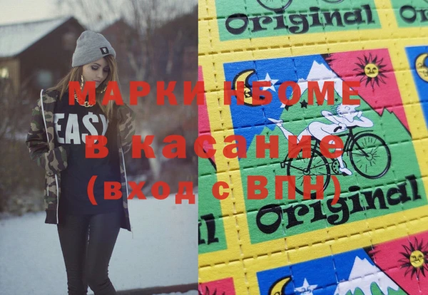 хмурый Алексин