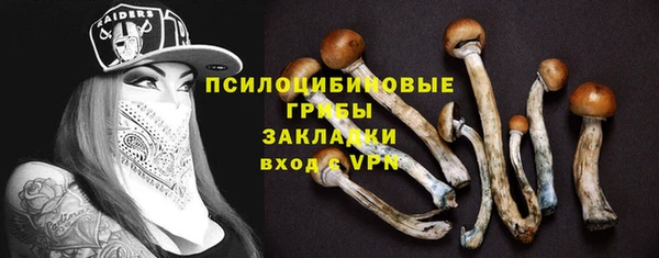 хмурый Алексин