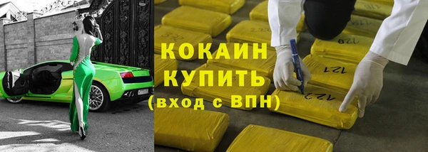 хмурый Алексин