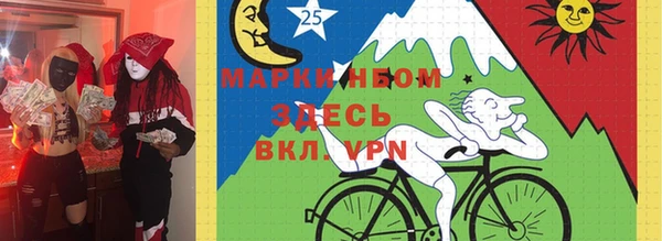 хмурый Алексин
