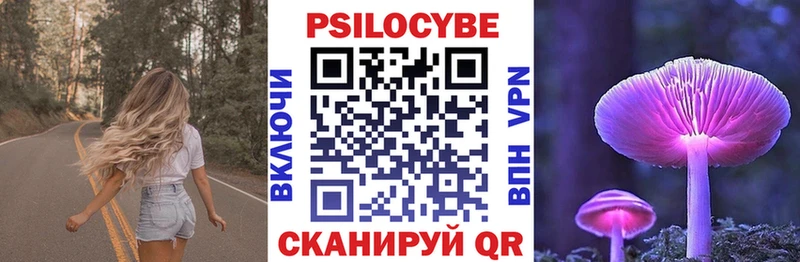 что такое наркотик  Серов  hydra как зайти  Псилоцибиновые грибы Psilocybe 